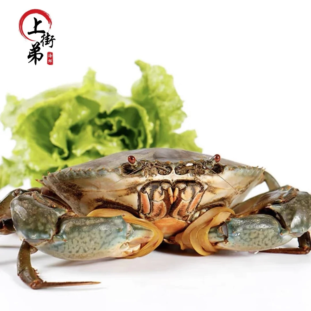 【琅岐菜鲟】 上街弟推荐鲟福州名菜 膏蟹包鲜不包活带绳子介意不拍