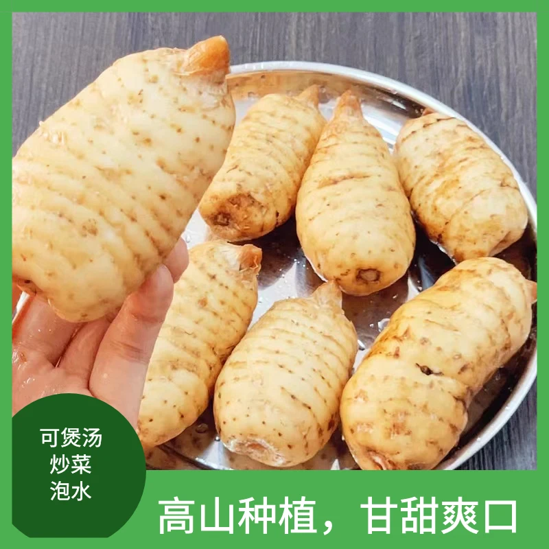[天麻之乡]正宗鲜天麻煲汤种植泡水炒菜泡酒非土豆洋芋产地直发