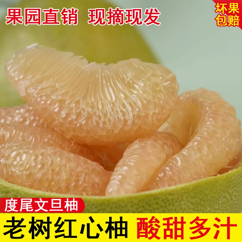 正宗度尾文旦柚老树红心柚子新鲜时令应季孕妇水果单果500g包邮