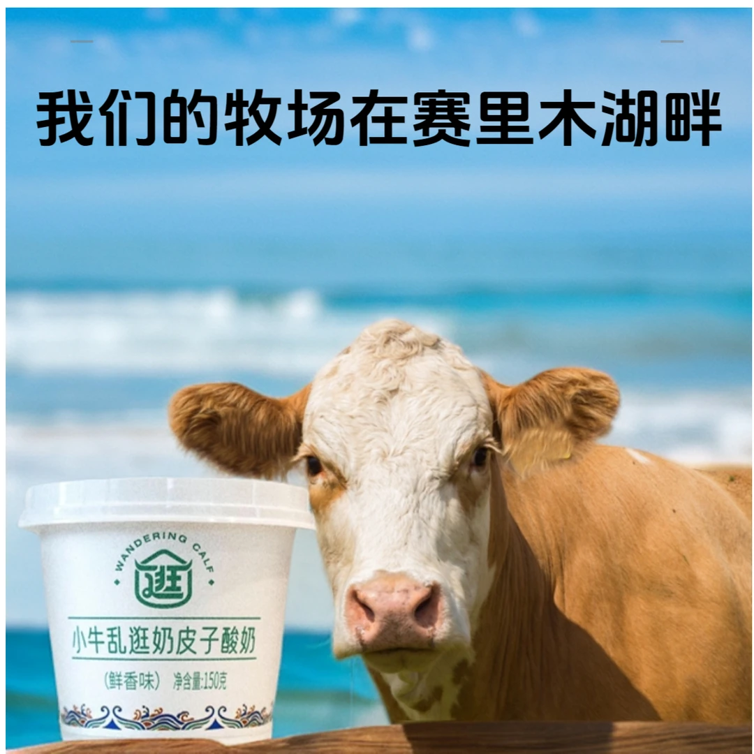 新疆酸奶小牛乱逛奶皮子酸奶10杯装【开心过年】