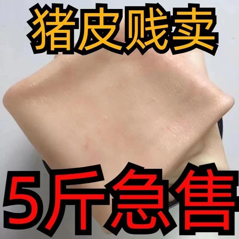 无油精修猪皮新鲜生猪皮皮冻大块去毛肉皮饭店商用工厂直发钜惠