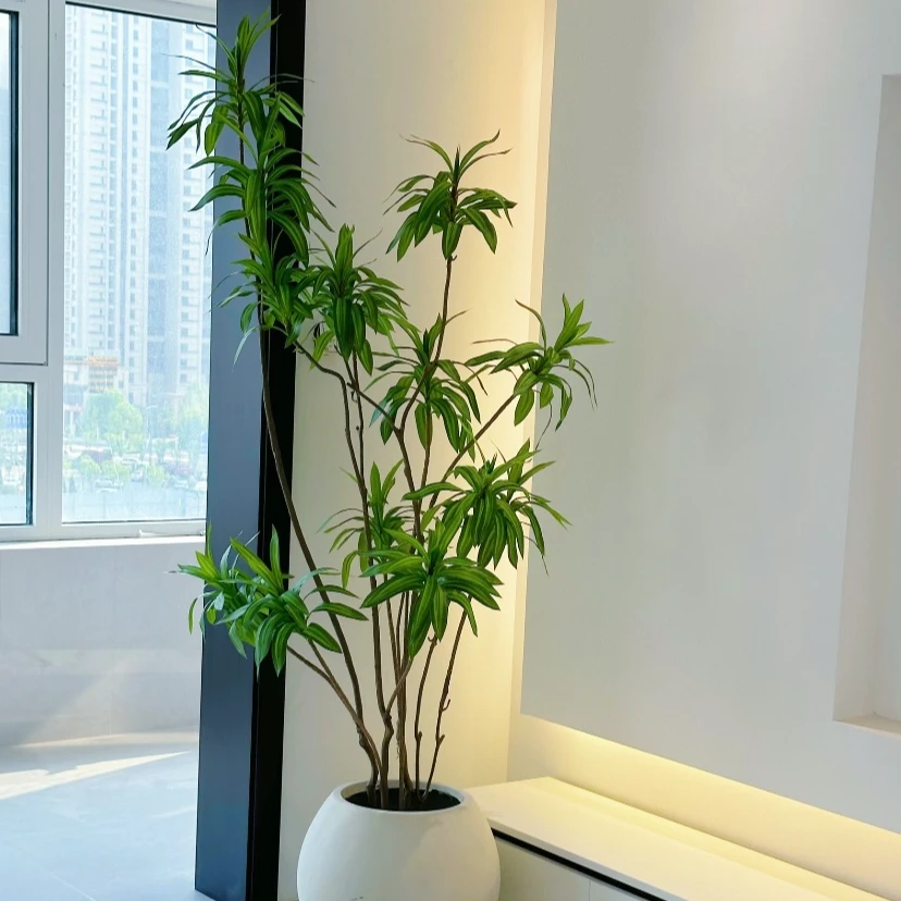 老桩造型金心百合竹绿植客厅办公室开业乔迁好养北欧高端简约绿植