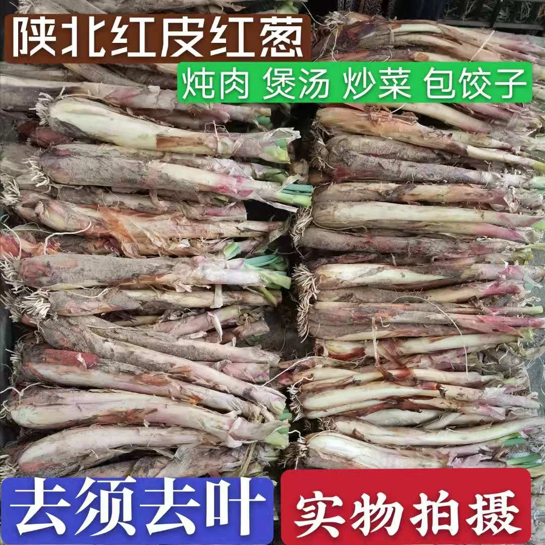 正宗陜北红葱 去须去叶农家自产 炖羊肉调料 绥德山地旱地红皮葱