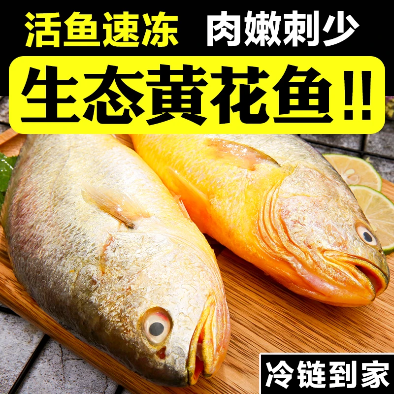 【鲜鱼发货】正宗新鲜大海深海生态黄花鱼7-8两/条拍5条送一条试吃
