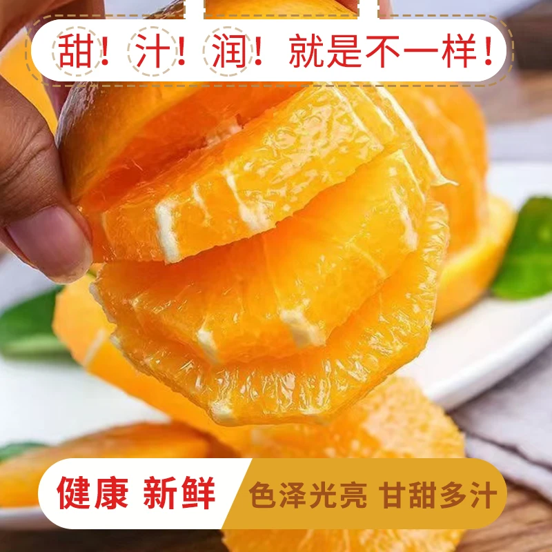 正宗江西赣南脐橙新鲜橙子现摘现发产地果园现发应季儿童孕妇水果