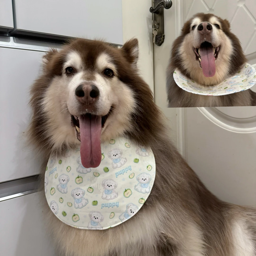 狗狗口水巾阿拉斯加萨摩耶大型犬围兜防脏三层加厚防水可立口水兜