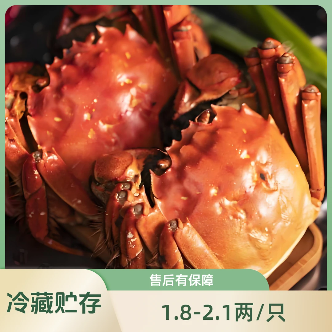 活蟹 盘锦河蟹母蟹(1.8-2.1两/只）死蟹包赔顺丰冷链精品礼盒