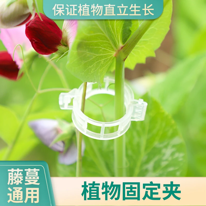 疆藏包邮【100个装】园艺藤蔓植物通用植物固定夹 固定不伤植物