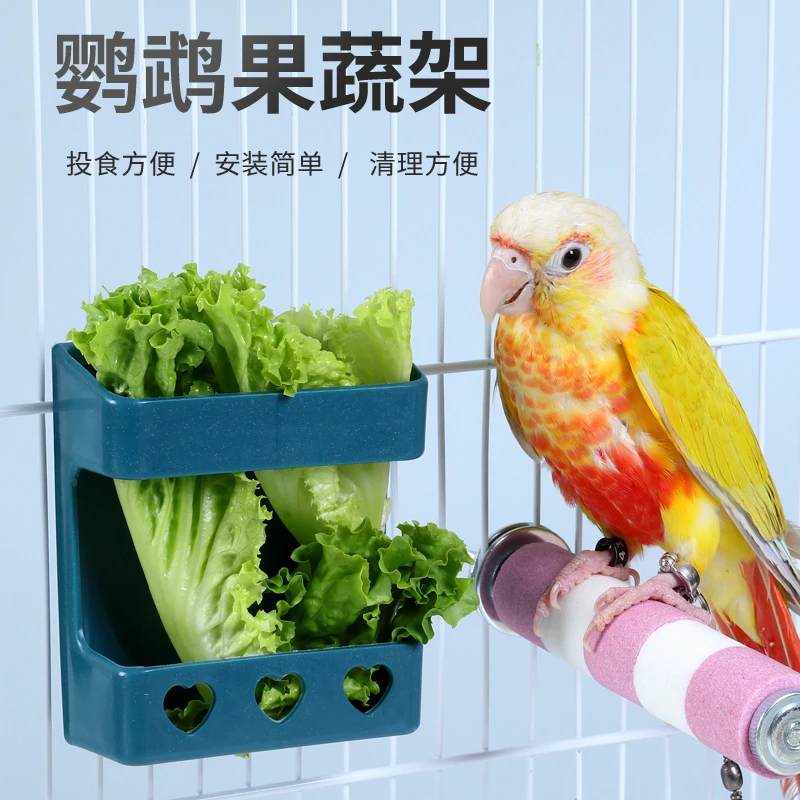 【奇妙妙】喂食器雏鸡蔬菜架喂水器喂鸡食槽造景鸟用饲养工具固定
