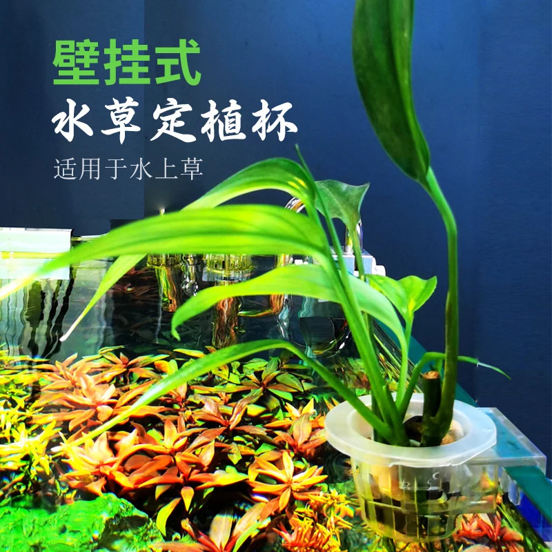【奇妙妙】鱼缸水草杯水草定植篮水培植物定植杯鱼缸装饰挂杯挂壁式