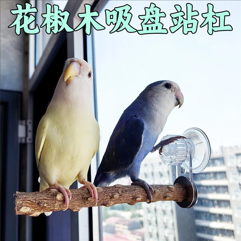 【奇妙妙】鹦鹉花椒木吸盘站架站杠站棍磨爪鸟用墙面玻璃站台