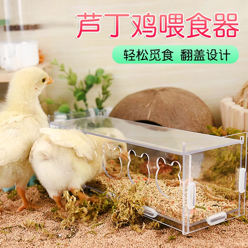 【奇妙妙】芦丁鸡自动喂食器亚克力下料器芦丁鸡鹌鹑喂水器宠物造景