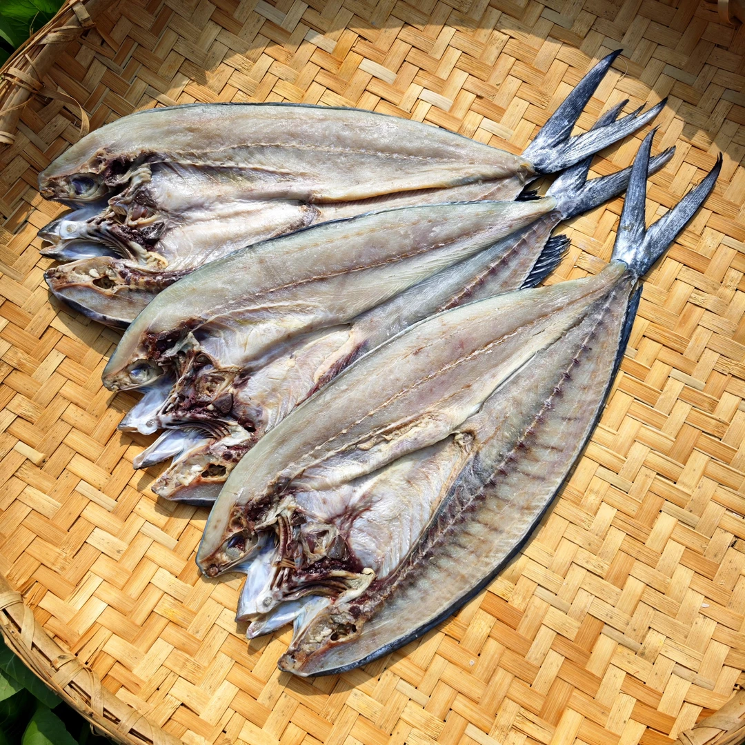 咸鲅鱼咸鱼大个刀鲅鱼圆头鲅鱼(半干咸鱼)