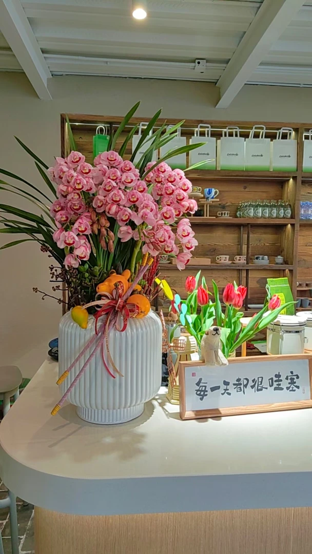 大花蕙兰带花苞带花蕾年宵花送礼花卉西安同城花店