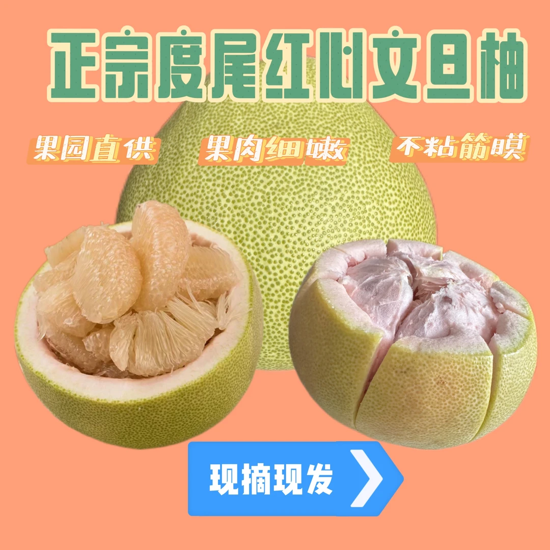 正宗文旦柚福建仙游度尾老树红心文旦柚时令水果现摘现发