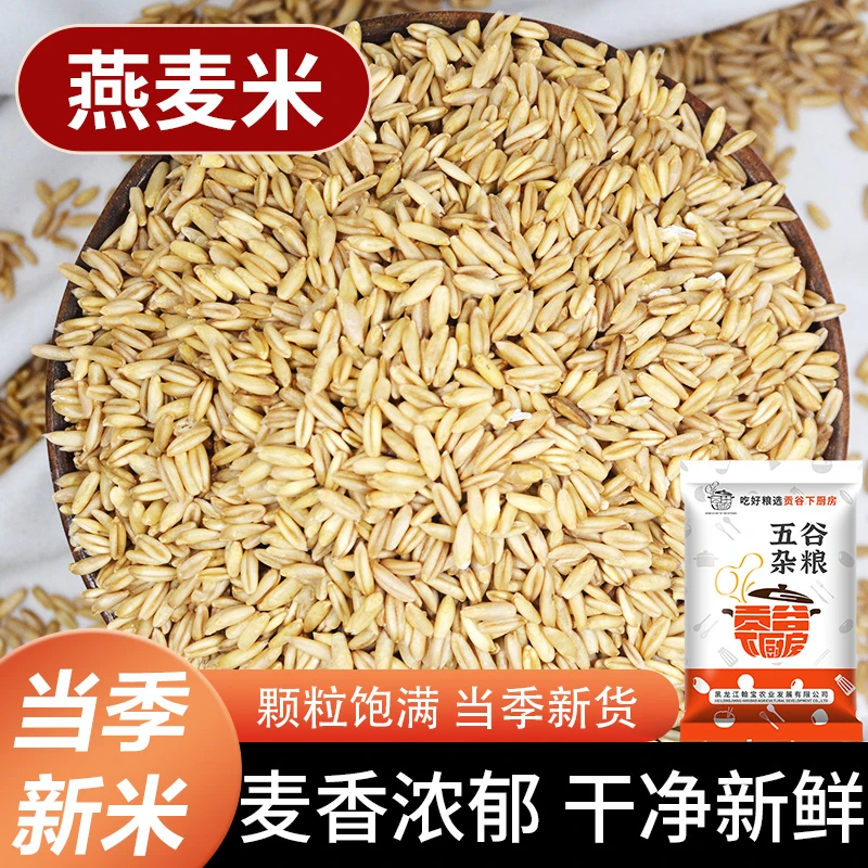 2025年5斤燕麦米新米五谷杂粮饭团批发早餐粥营养煮粥焖饭1斤新米