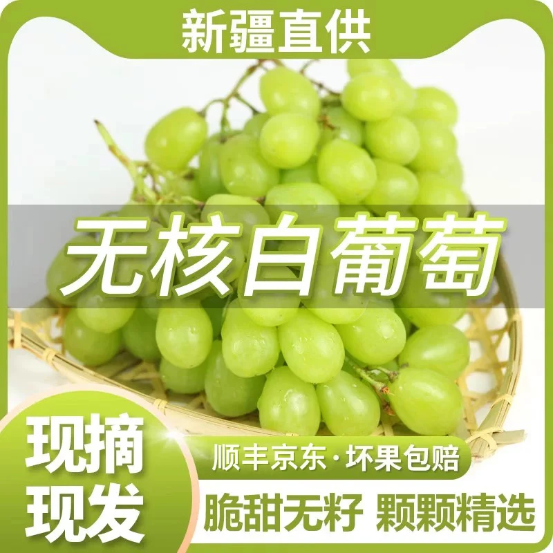 5斤更划算 新疆无核白葡萄 顺丰京东快递 吐鲁番葡萄纯甜包邮