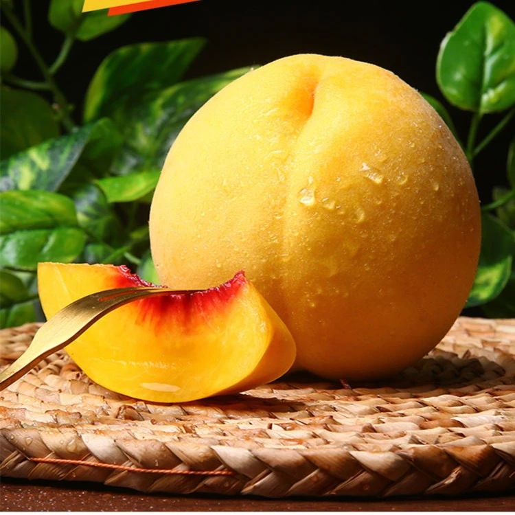 现摘新鲜郴州当季黄桃应时令孕妇水果蜜桃毛脆大桃子10斤整箱包邮