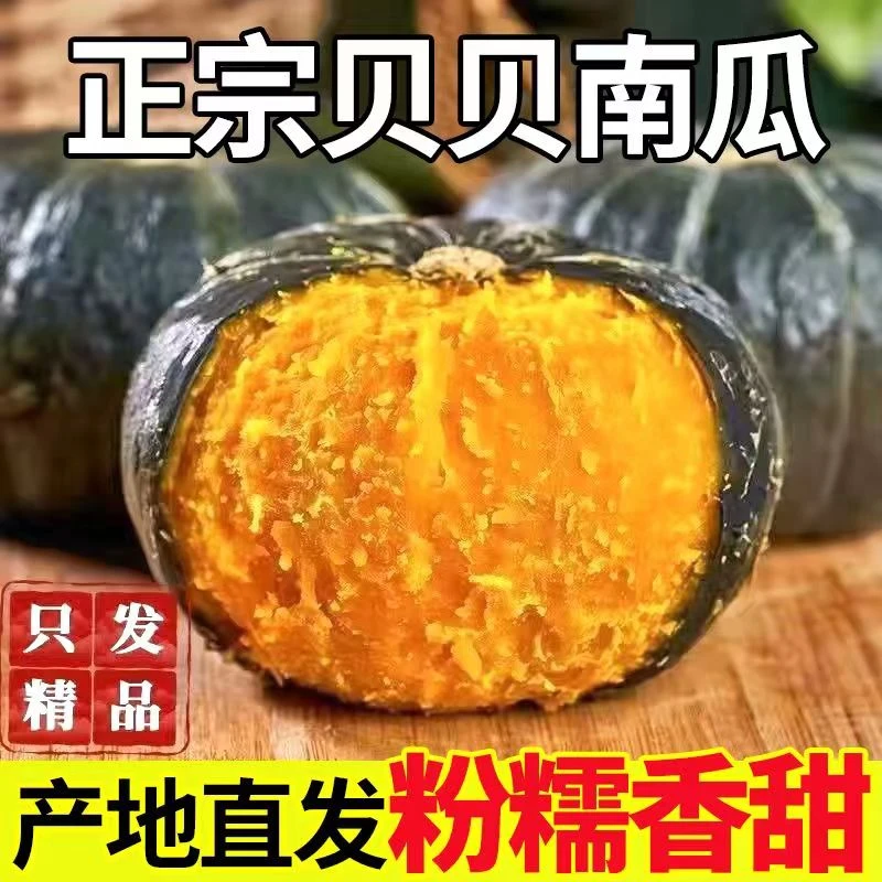 贝贝南瓜产地现摘现发2/4.5-5斤板栗南瓜宝宝辅食