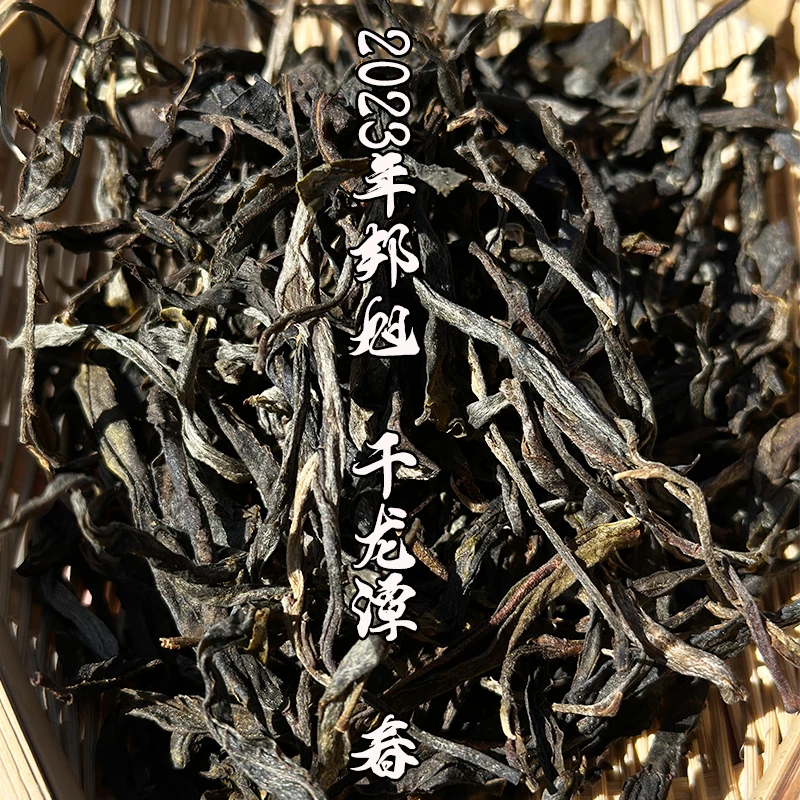 【书记严选】2023年 邦旭 干龙潭山 春茶 普洱生茶 散茶饼茶