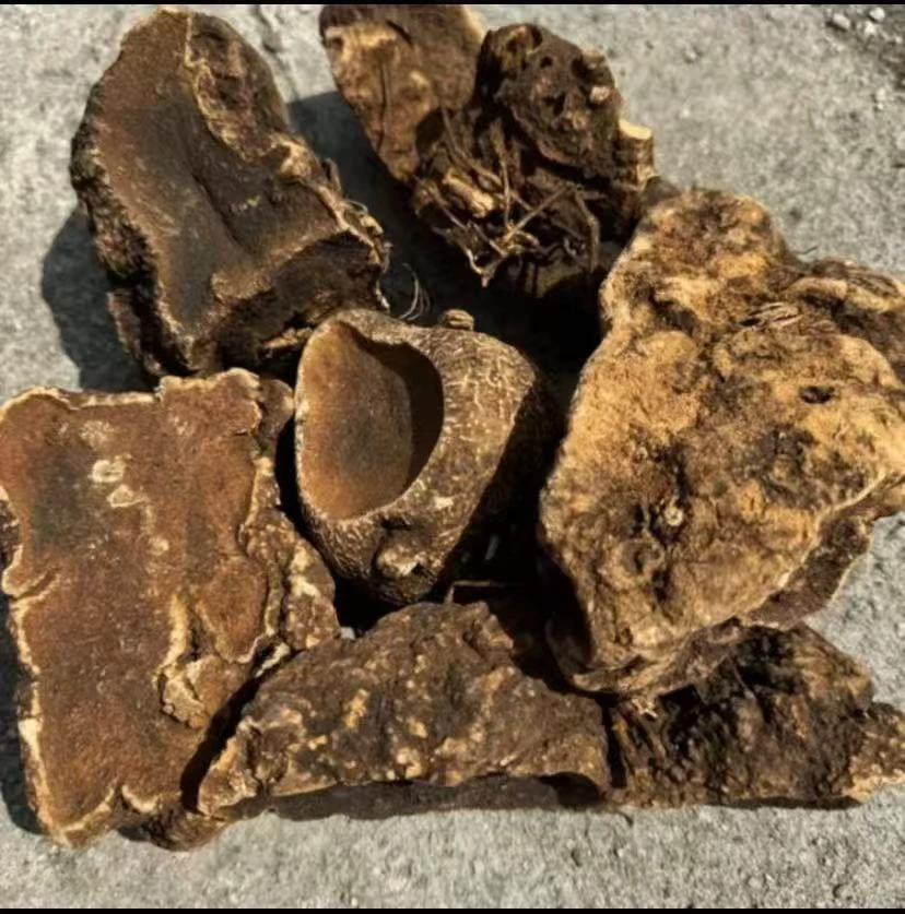 云南现收山货，下山，雪，胆，土特产，散装称重，可配 枸杞