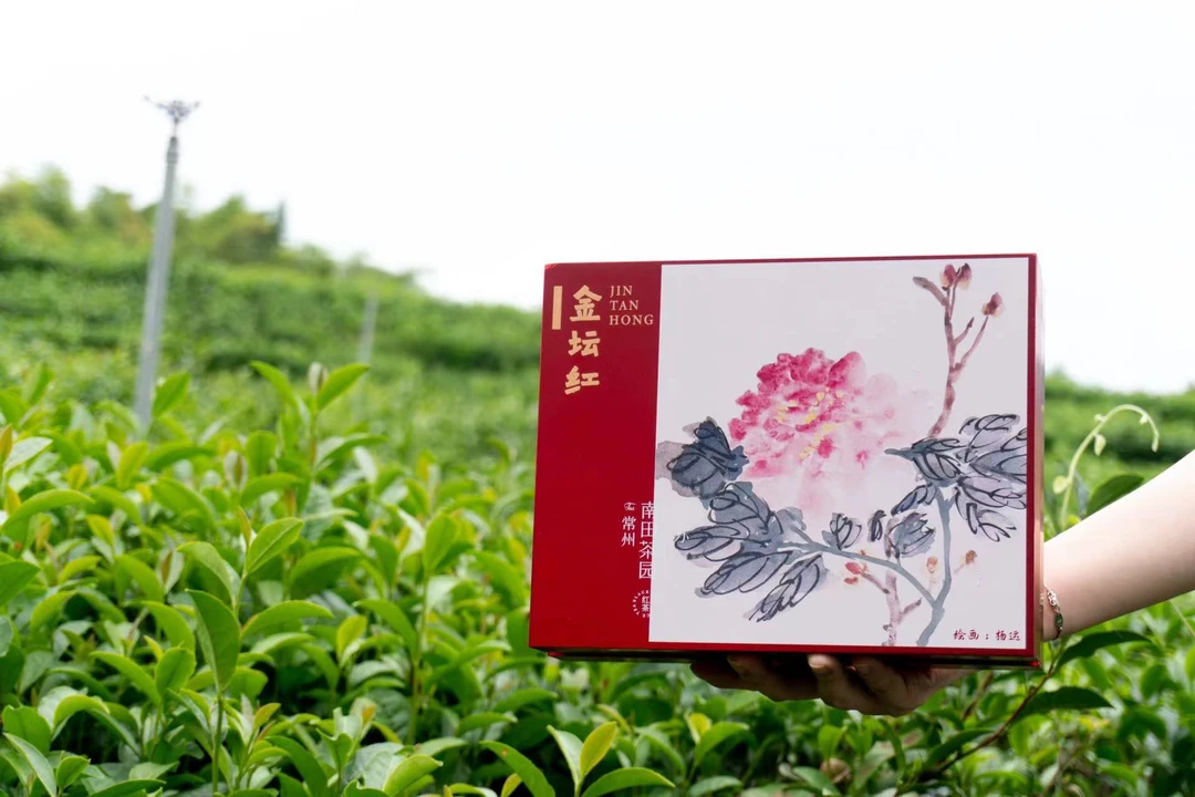 【南田茶园】金坛红 2024年春茶 精致礼盒装 一袋一泡