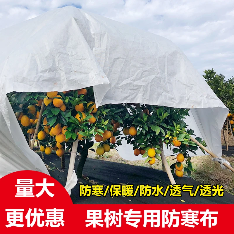 果树专用防寒布蔬菜用保温布植物防冻防霜防水布耐用抗老化保暖布