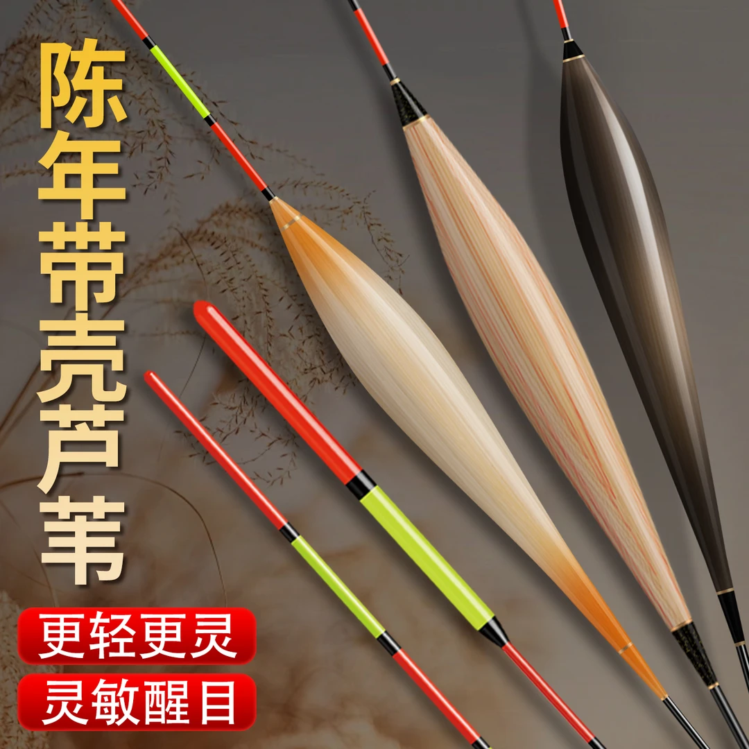 【带壳芦苇】精品浮漂一支