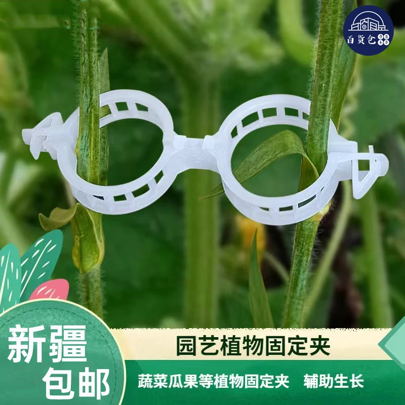 【新疆包邮】植物藤蔓夹绑枝夹园艺扶蔓夹藤蔓固定夹植物固定夹