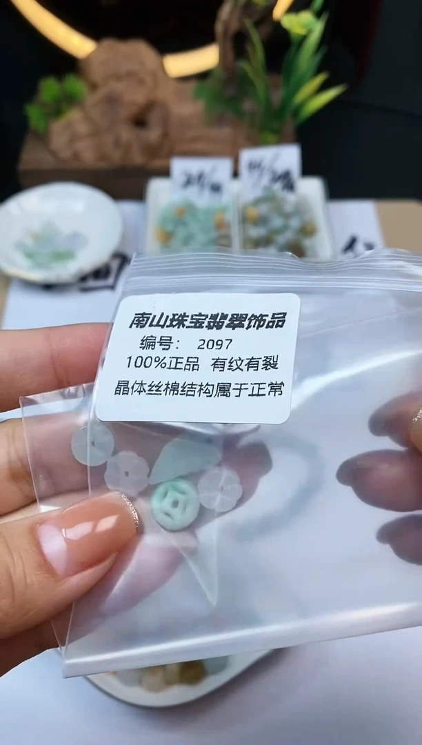 【闪购商品】翡翠颈饰未镶嵌2097