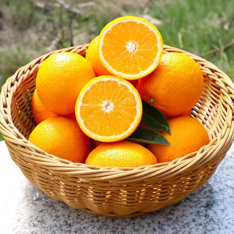 （助农专属）湖南道县新鲜水果道州脐橙 5斤