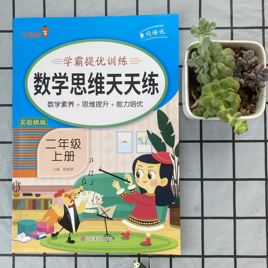 小学数学思维天天练二年级上册数学口算笔算训练思维提升人教版