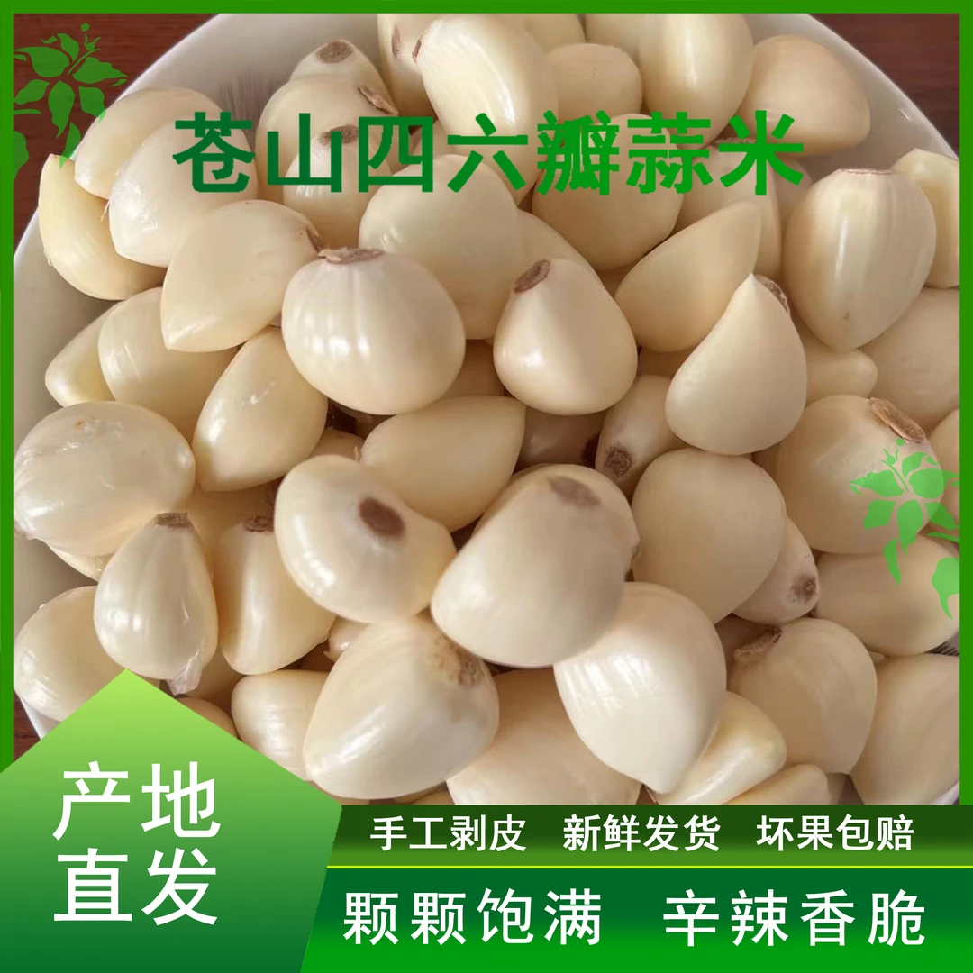 新鲜山东大蒜头新鲜苍山四六瓣大蒜剥皮蒜米手工去皮大蒜头大蒜瓣