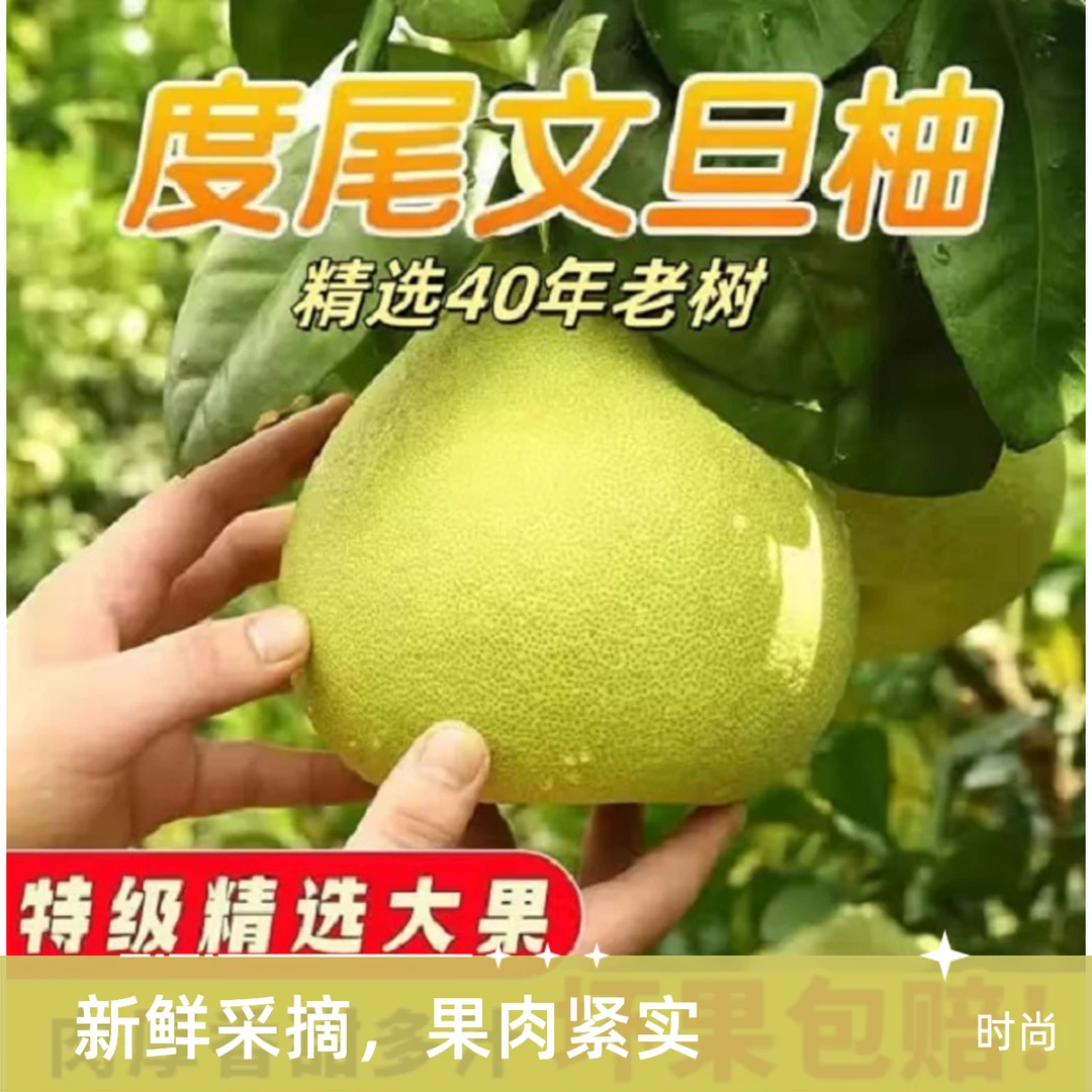 度尾文旦柚红心文旦柚应季新鲜水果酸甜多汁
