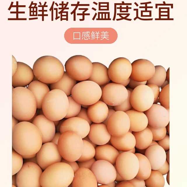 秋收精选农家土鸡蛋 45-50g