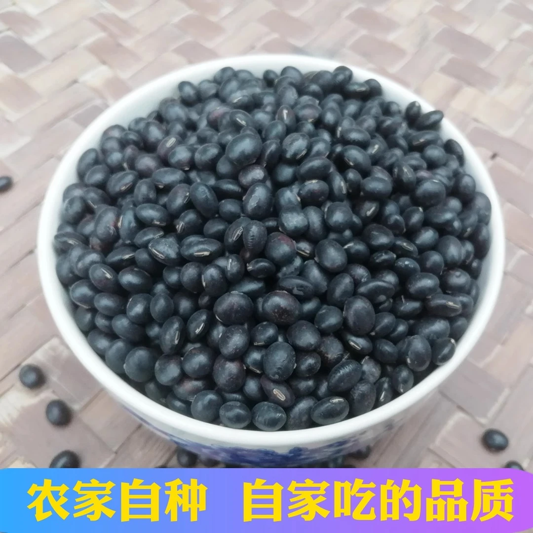 2023年新老品种黄心小黑豆500g打豆浆专用发芽农家自产自种