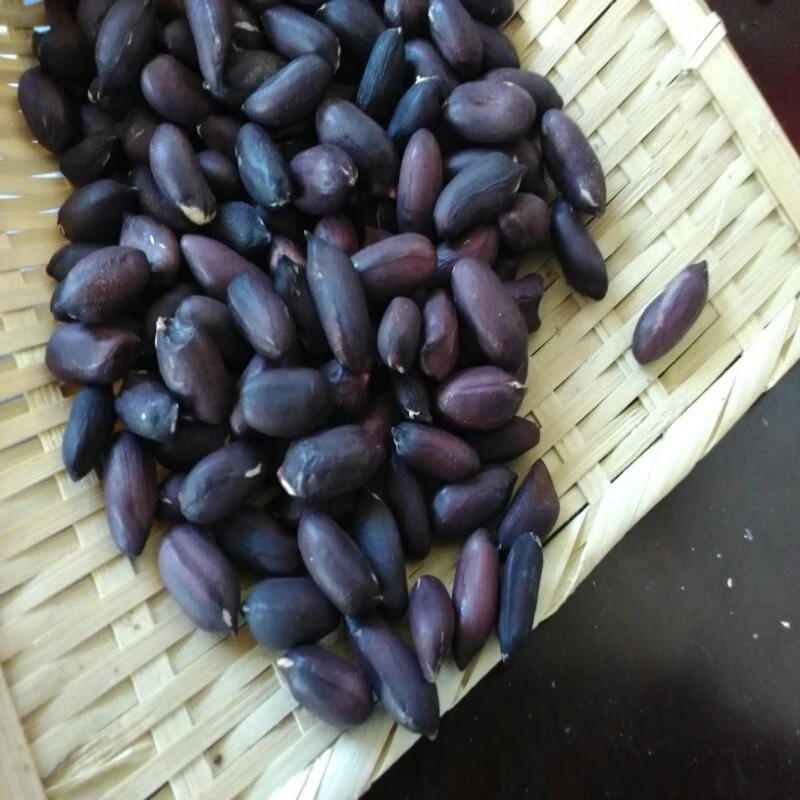 2023年新鲜 云南 黑花生米 500g 黑皮  富硒