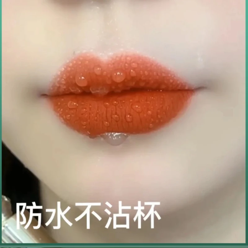 胡萝卜色口红唇膏黄皮肤显白豆沙姨妈红不掉色不沾杯哑光学生