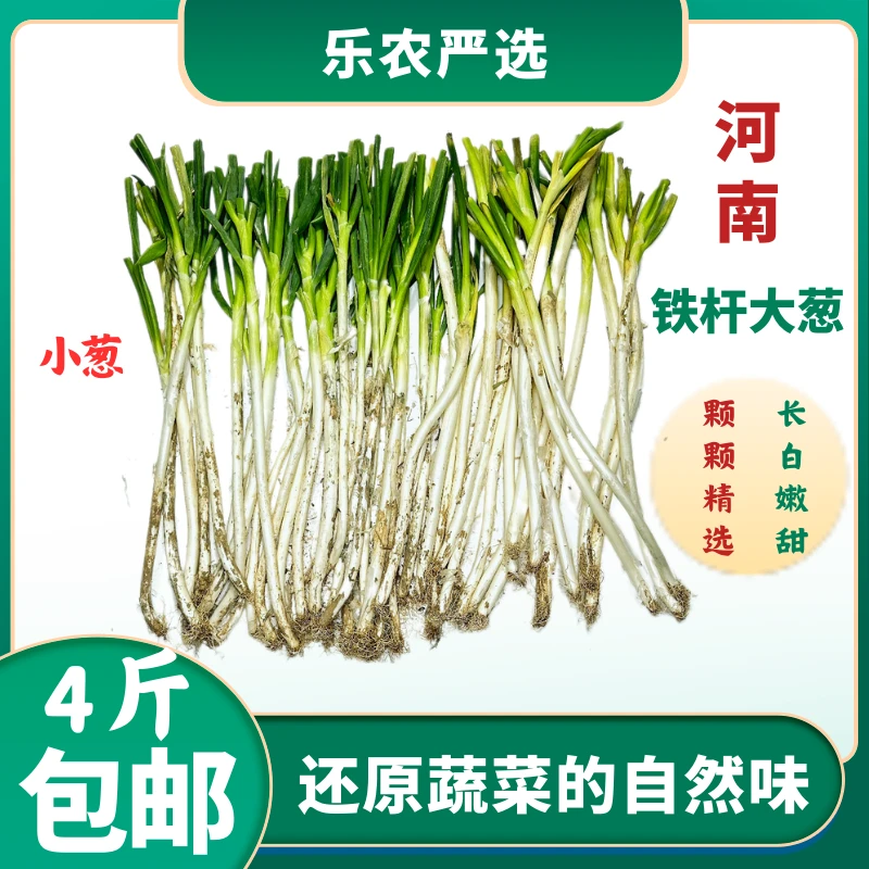 【河南小葱】现挖发货嫩葱美味鲜嫩葱白长食用调味佳品好吃河南大葱