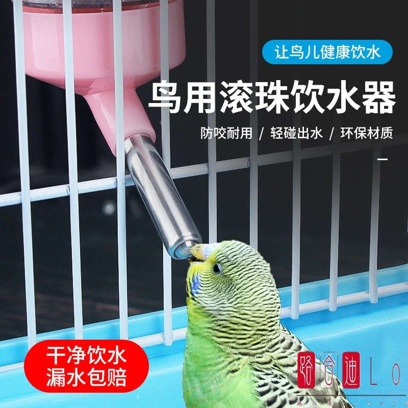 鸟用饮水器喂水罐鹦鹉自动下料器芦丁鸡外挂喝水壶喂食器食盒用品