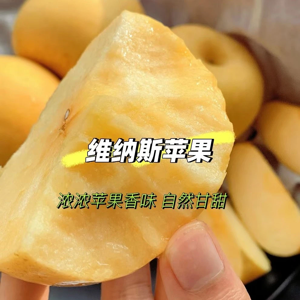 黄金维纳斯黄3斤毛重奶油苹果新鲜水果整箱富士糖心脆甜农产品纯甜包邮
