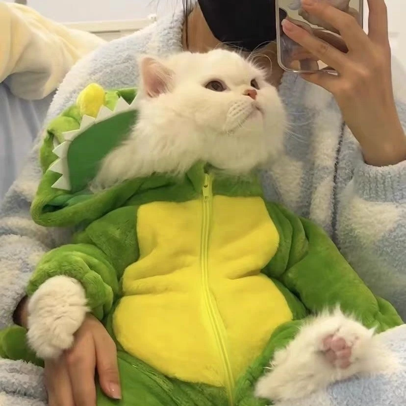 【网红爆款】冬季款小恐龙猫咪衣服可爱保暖连体大号毛衣布偶连体衣