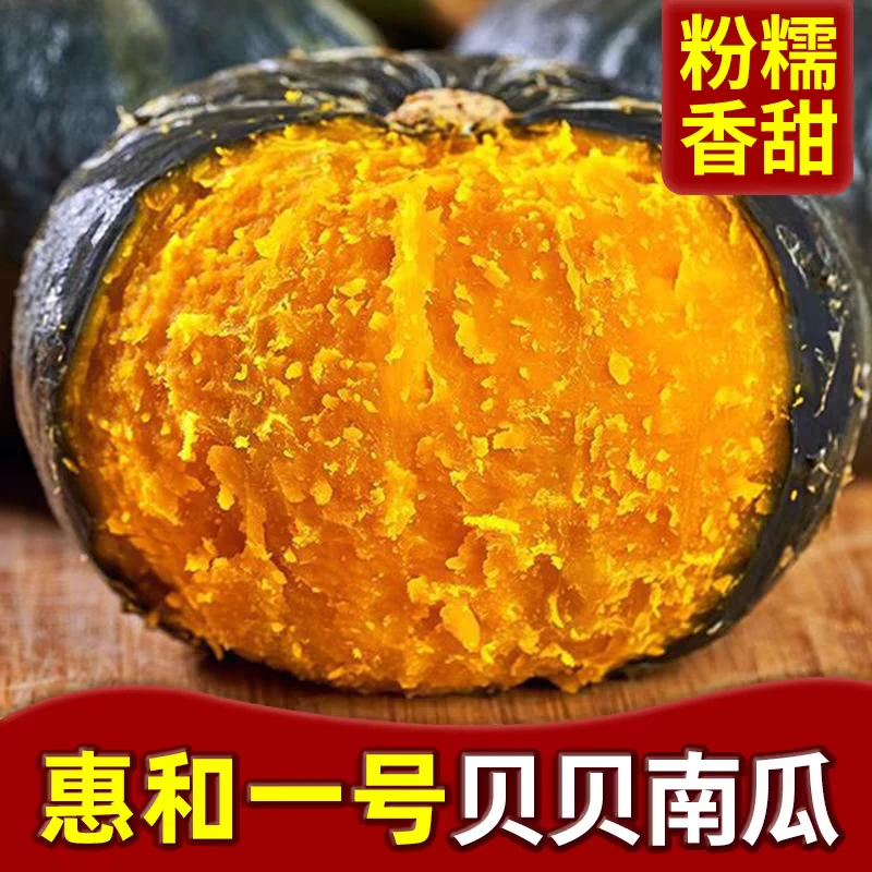 【东台琴姐】贝贝南瓜板栗味小南瓜甜糯粉