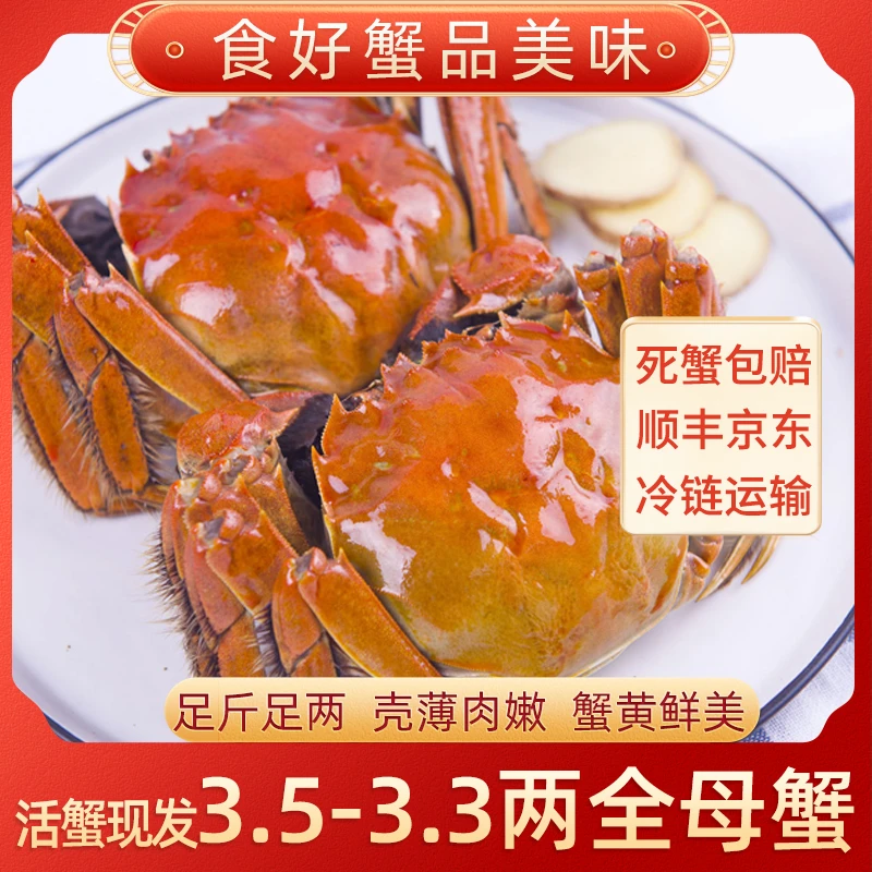 【活蟹】食好蟹精品苏蟹鲜活水产大闸蟹 全母蟹3.5-3.3两6/8/10只