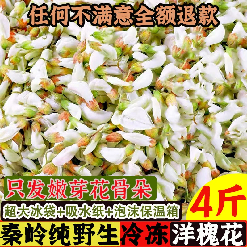 陕西新鲜洋槐花现摘野生冷冻刺槐花骨朵3斤食用花苞洋槐树花包邮