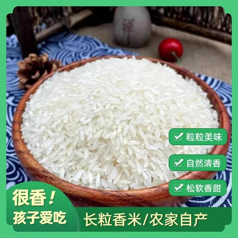 大米猫牙米香米正宗长粒香米猫牙米营养新鲜粮食优质大米现磨新米