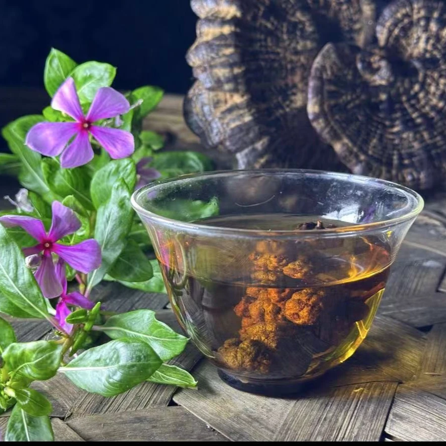 【小丹专属】精选缅缅山货清瘤果 500g （非百合）