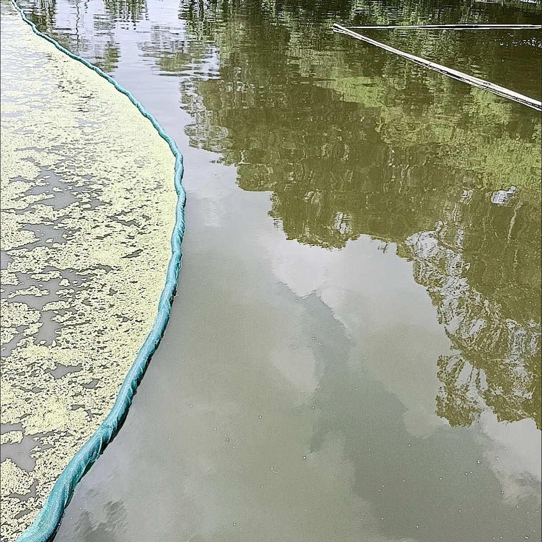 15米除污网拉青苔拉浮萍带浮条带铁链河道养殖除污