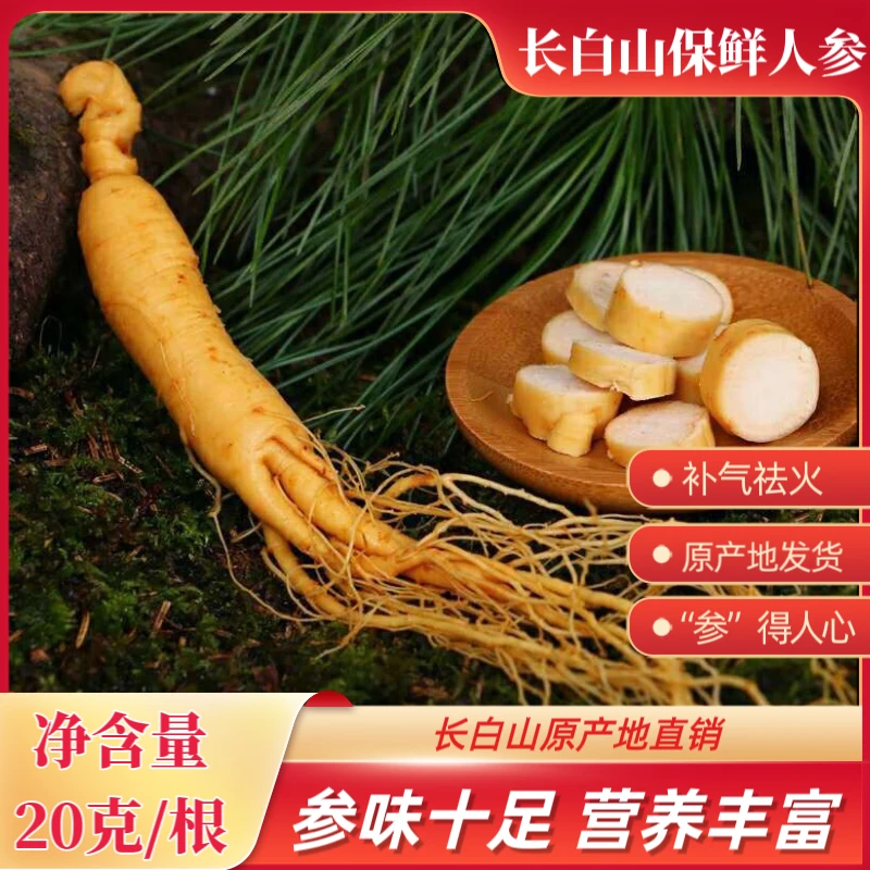 长白山保鲜人参净重20克每根整枝鲜人参泡酒煲汤炖鸡泡茶东北特产