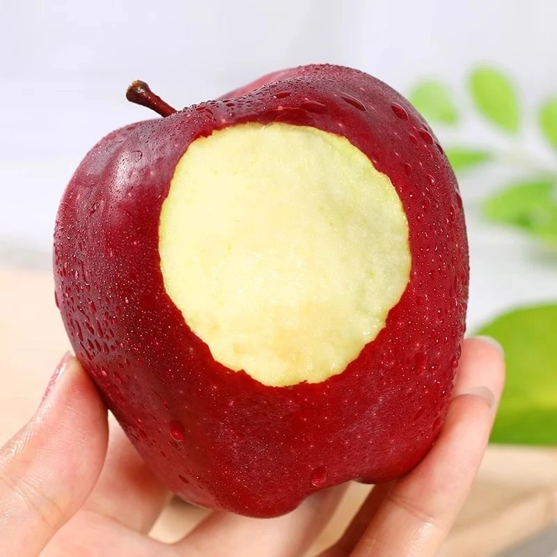 新鲜多汁的苹果 红苹果